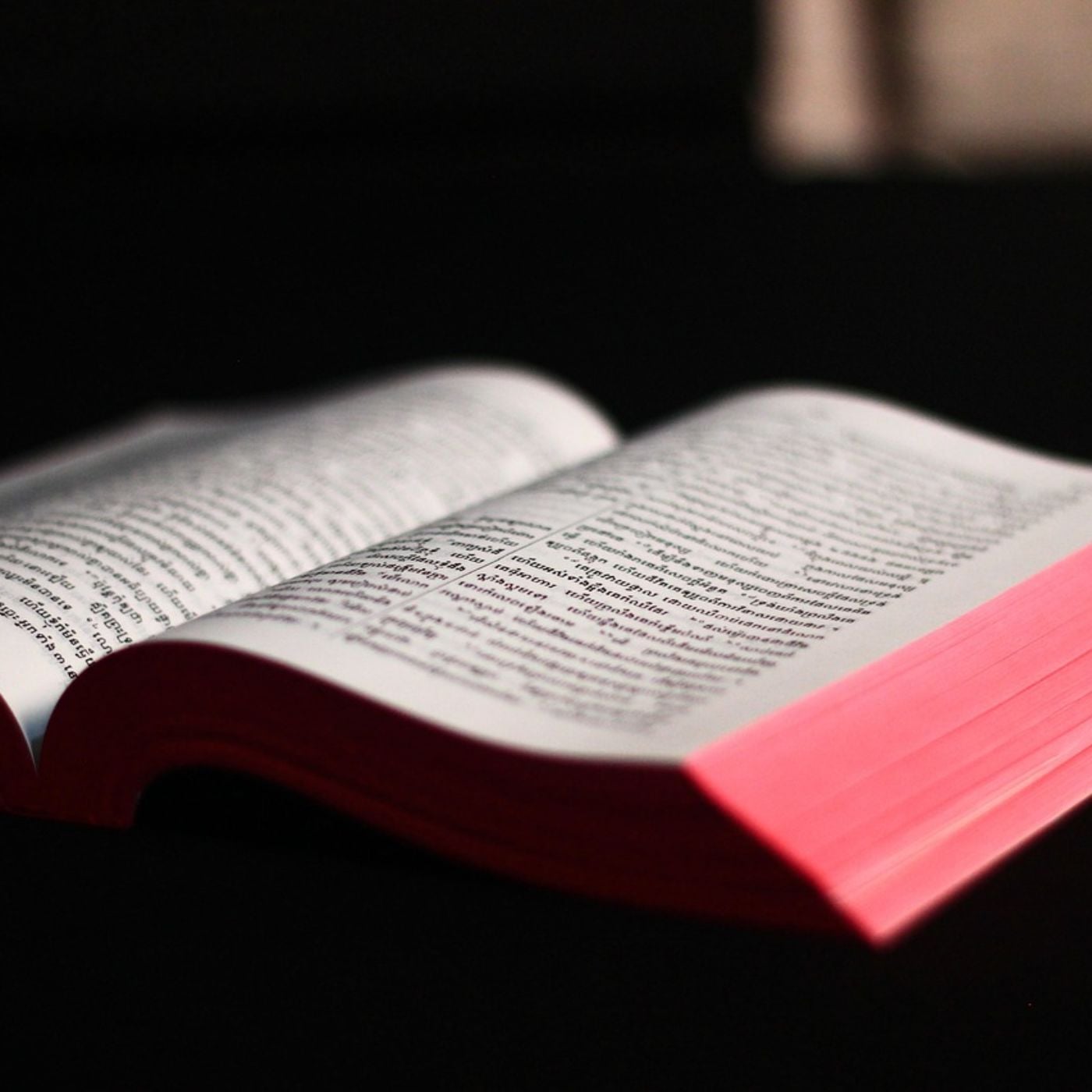 #12811 Can We Lose Our Salvation? Catholic Views on Faith and Grace - Brayden Cook