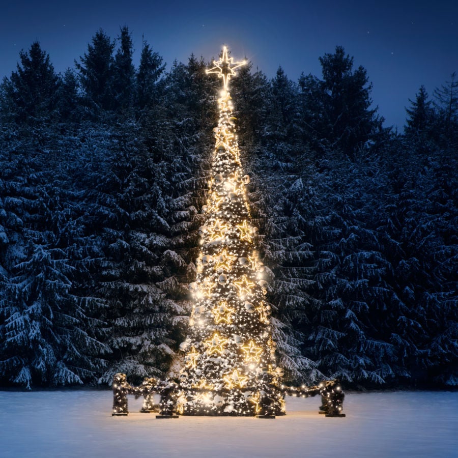 1,996 Christmas Greenery Stock Photos, High-Res Pictures, and