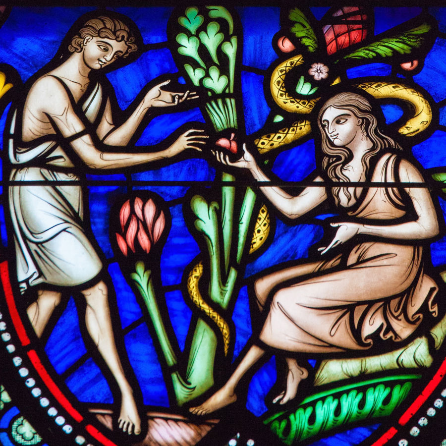 Why Catholics Can Believe in Evolution: Adam and Eve Were Given Souls