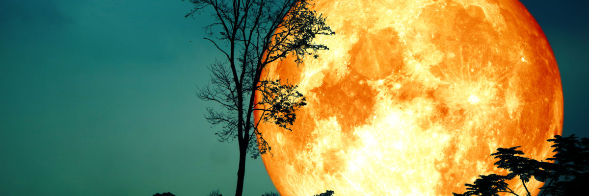 What Is a Hunter's Moon? The Neat Story Behind October's Full Moon