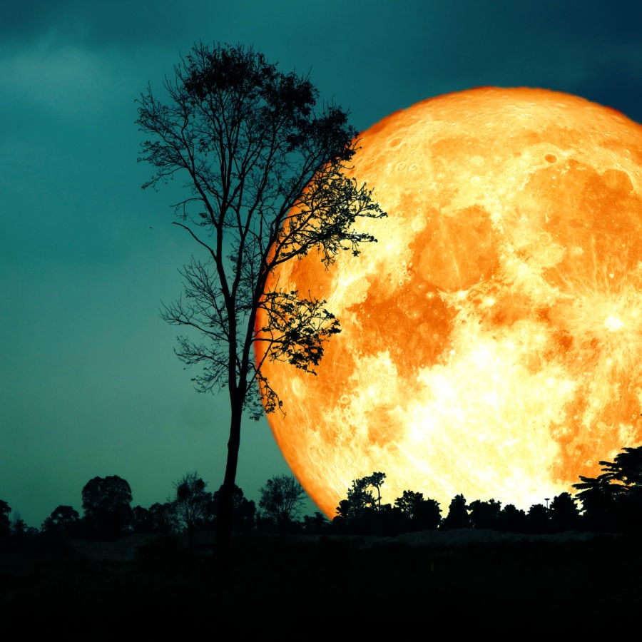 The Harvest Moon Is Christian