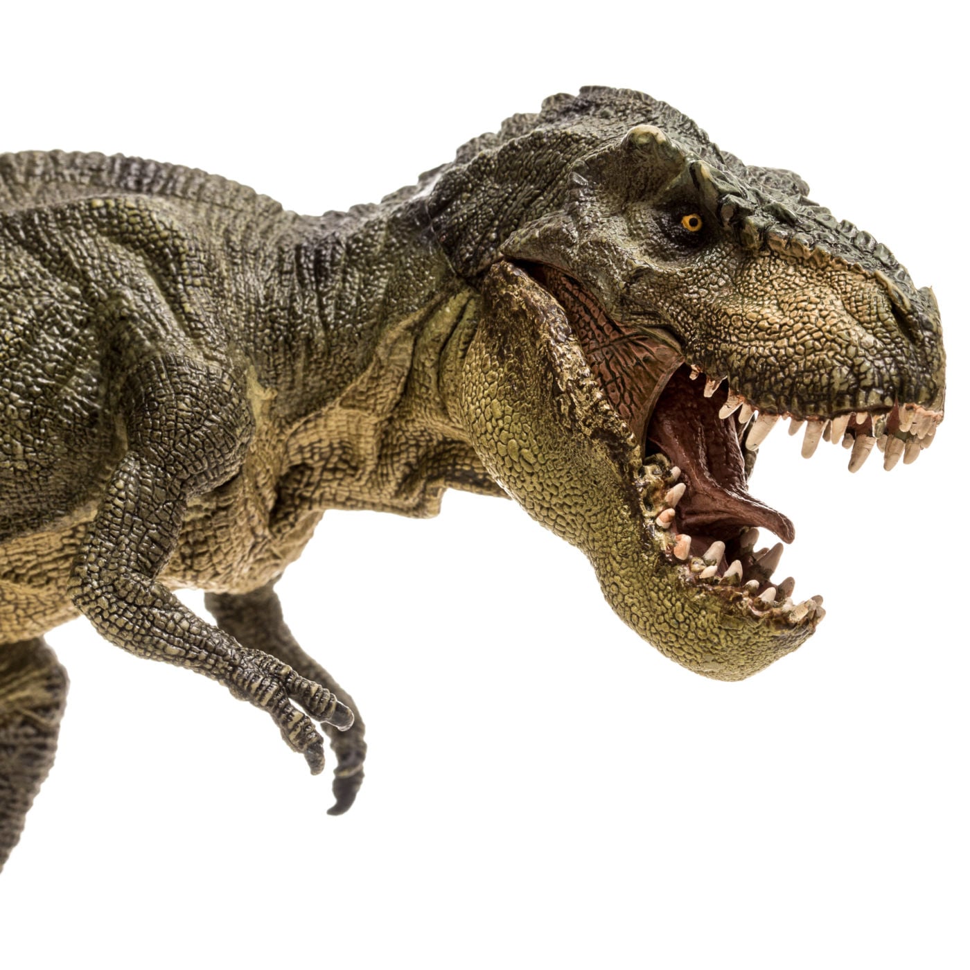#12683 Do Dinosaurs Create Issues for Catholic Beliefs and Faith? - Jimmy Akin