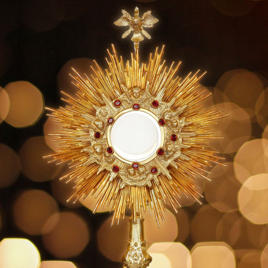 The Eucharist as the New Manna | Catholic Answers Podcasts