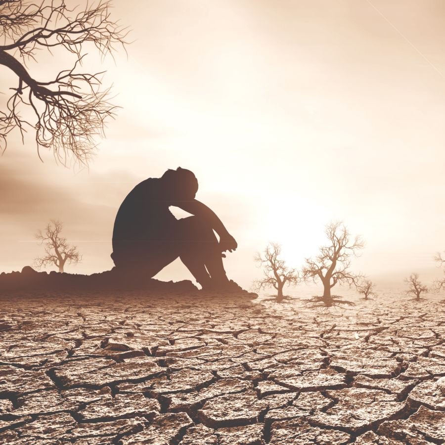 The Answer to Life's Vanity Catholic Answers Magazine