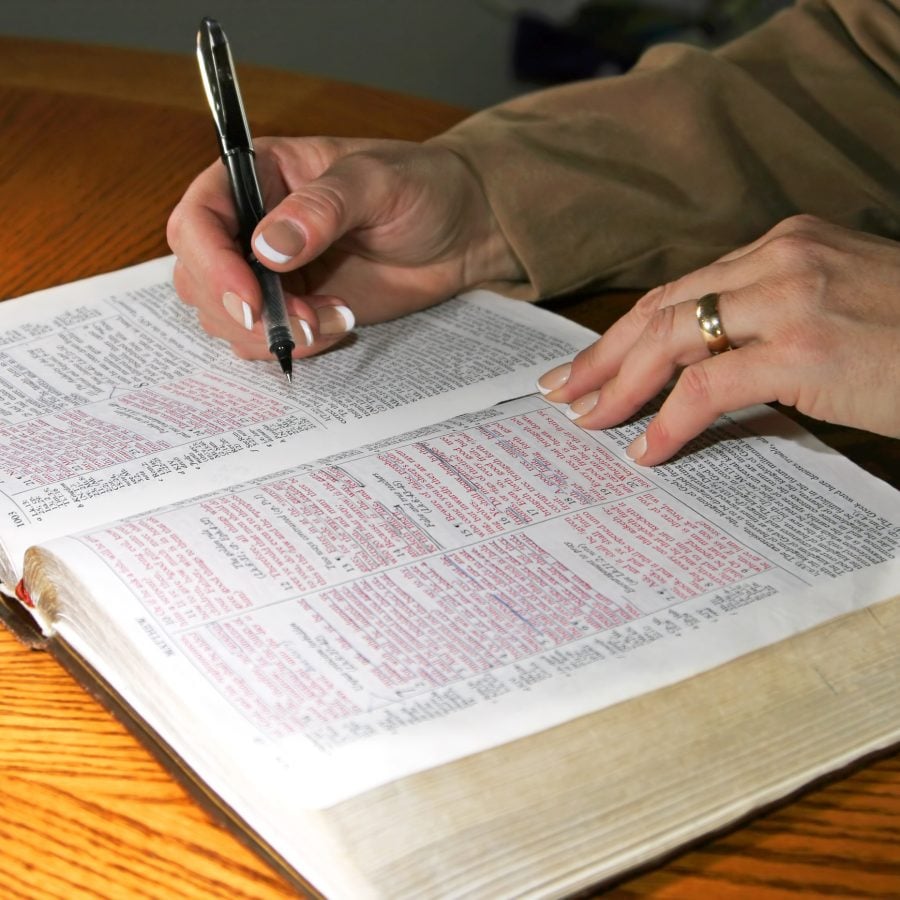 catholic bible study guide