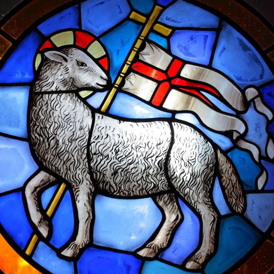 List 101+ Images Jesus The Lamb Of God Picture Latest