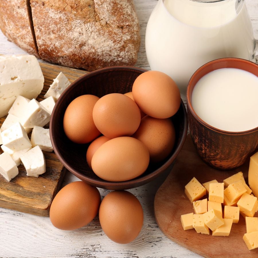 Does Abstinence from Meat Include Byproducts of Animals? Catholic