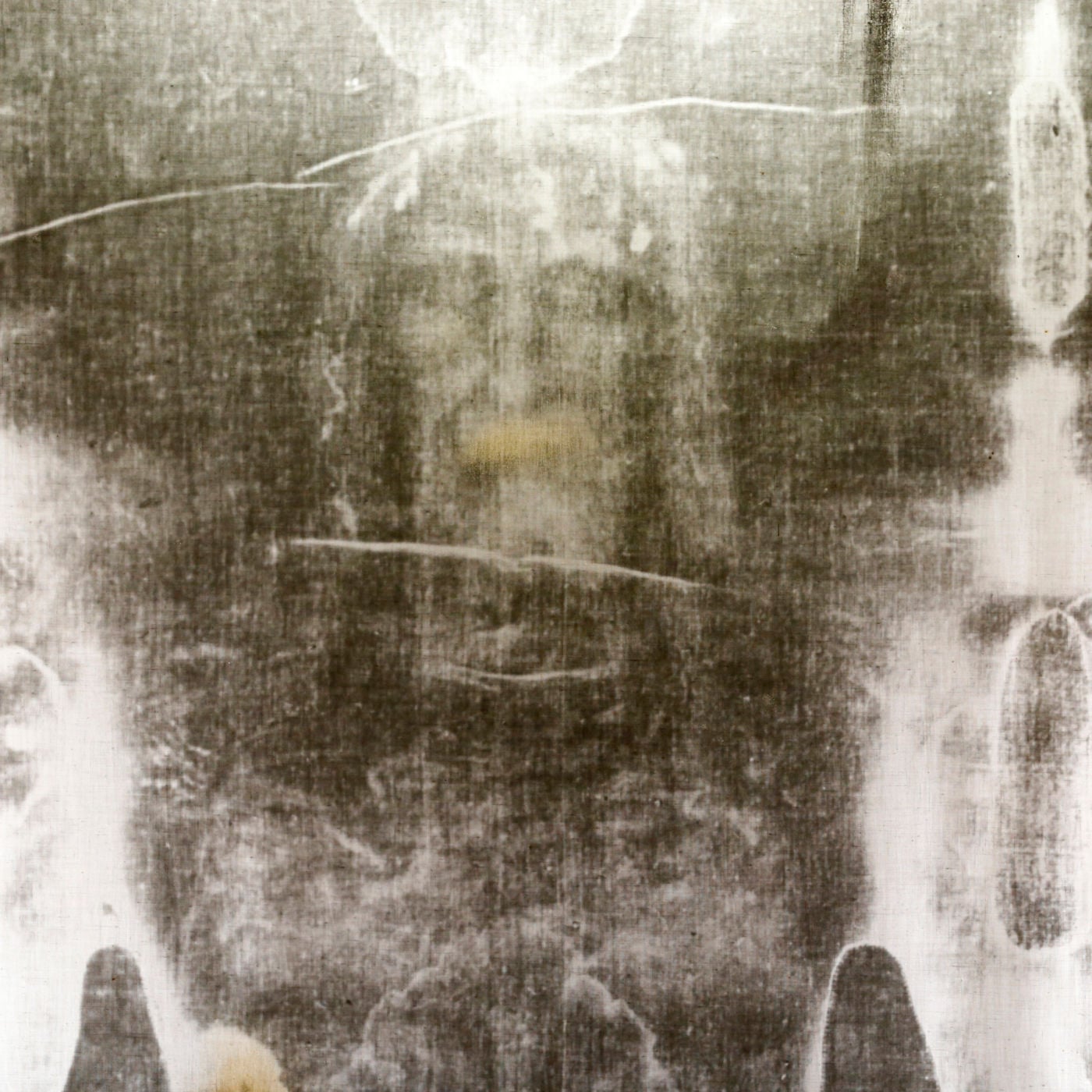 #12515 Debunking Claims Against the Shroud of Turin - Fr. Andrew Dalton
