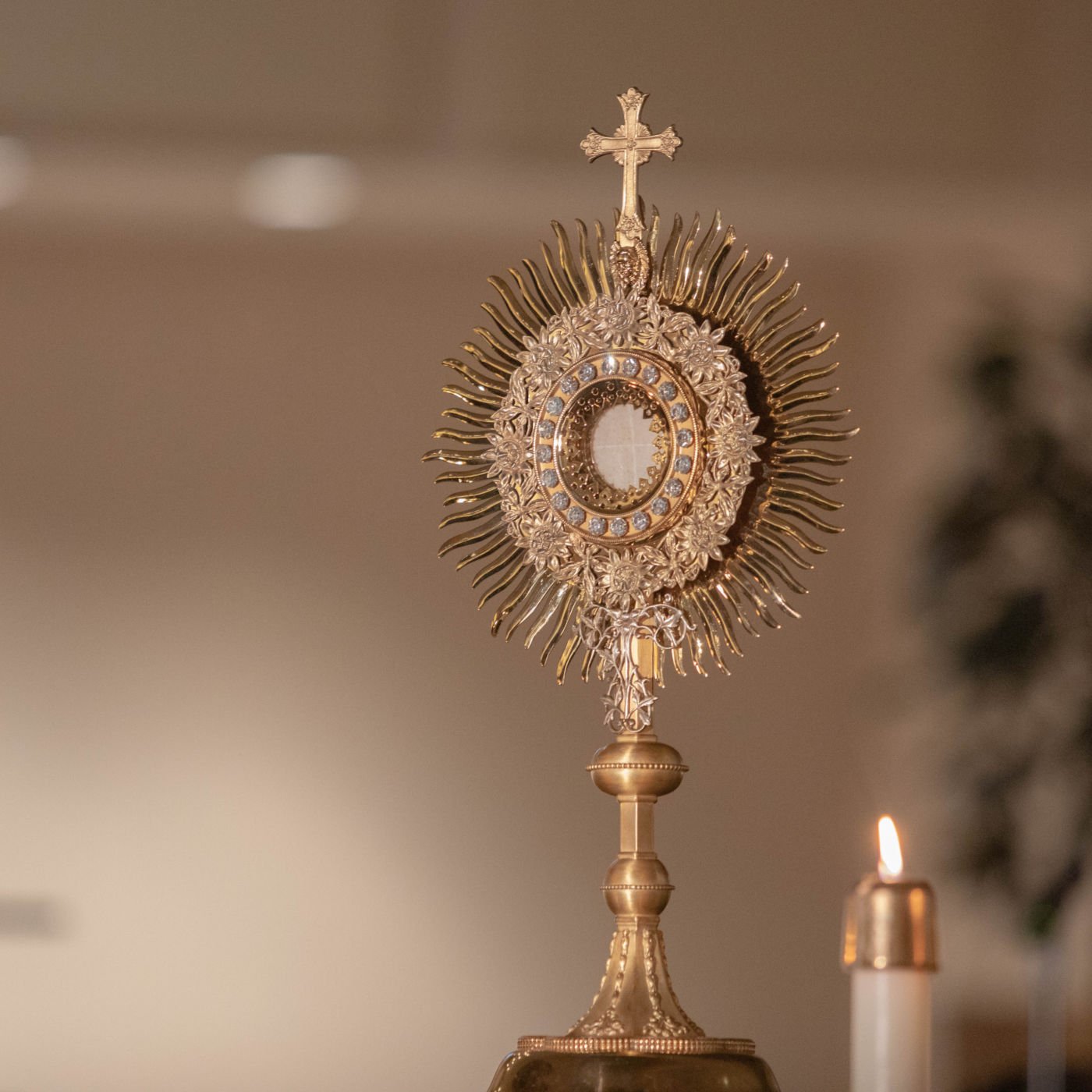 #12445 Proving the Eucharist is Jesus in ONE MINUTE! - Jimmy Akin #12445 Proving the Eucharist is Jesus in ONE MINUTE! - Jimmy Akin