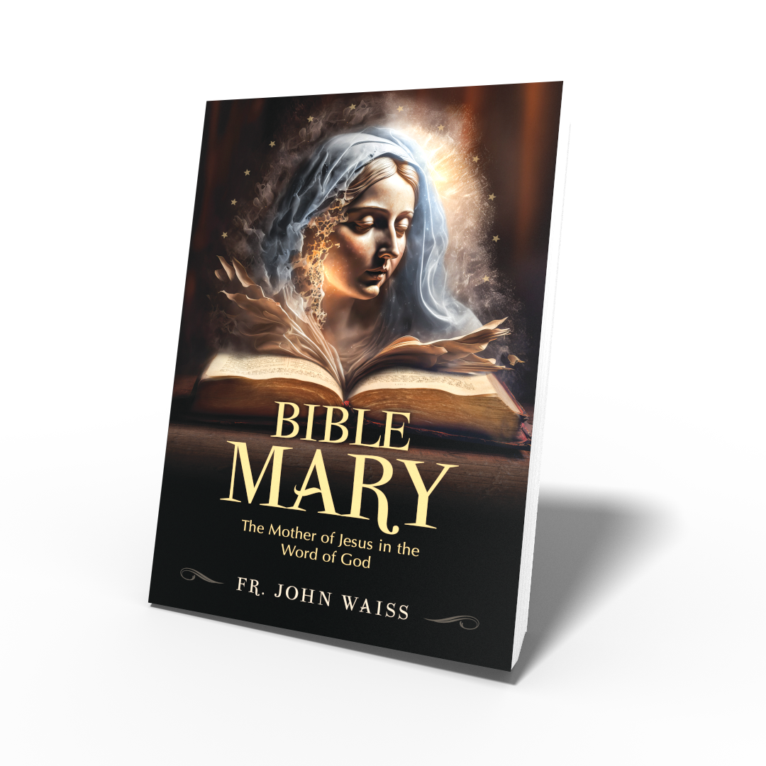 Bible Mary book cover