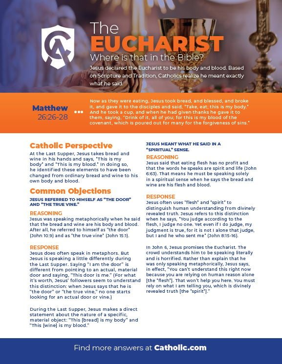 Carlo Acutis had a devotion to the Eucharist. Here's our Bible Cheat Sheet on the Eucharist - Where is that in the Bible?